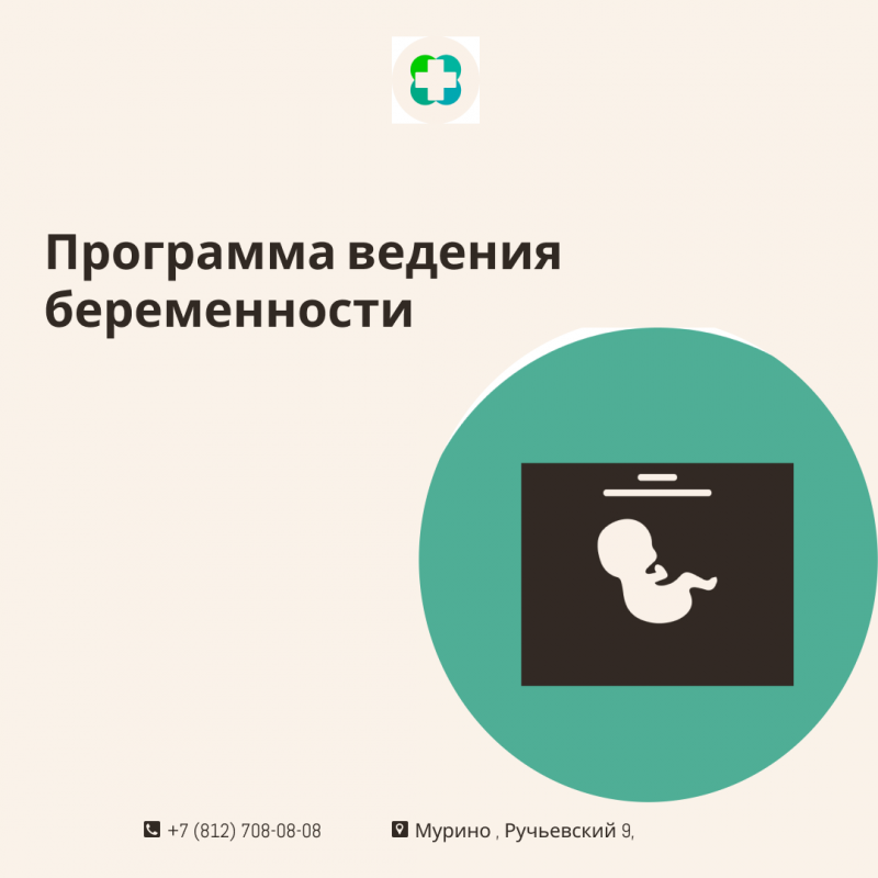 Программа ведения беременности